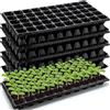 FJOADNVM Semenzaio 5/10 Pezzi 50 vassoi for la Semina di piantine con Fori di drenaggio for la Crescita delle piantine(10Pcs)