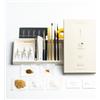 Chimahaga Kintsugi Kit di Riparazione per Principiante Standard Vero Oro Giapponese Urushi, Kit fai da te per Riparazione Tradizionale