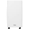 Tristar DH-5419 Deumidificatore - Igrostato - 10 L/giorno - Serbatoio dell'acqua da 2,5 L - Bianco