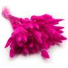 Enchanted Dekogras - Erba secca ornamentale a coda di coniglio, Lagurus Ovatus, erba di velluto, erba della coda di coniglio, fiori secchi, naturale, boho, 120 - 150 pezzi, 100 g, fucsia
