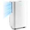 RELAX4LIFE Deumidificatore Casa 12L/Day con 4 Modalità e 2 Velocità, Deumidificatore d'Aria Portatile con 2L Serbatoio dell'Acqua, Timer 24 Ore, Blocco per Bambini (Modello 2, 12L/Day)