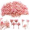 Glicrili Fiori secchi rosa e bianchi da 15,2 cm, 4000+, 70 gipsofila naturali per lavori artistici fai da te, fiori secchi sfusi per vasi in resina, decorazioni per San Valentino, tavolo della stanza, regali