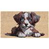 REDS Zerbino in Fibra di Cocco con Base Vinilica Antiscivolo - Zerbino Esterno/Ingresso, 40 x 70 cm - Cagnolino