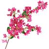 LSFYYDS Rami di Bouganville in Seta Artificiale, Bouganville Finta Rosa Rossa con Steli in Filo di Ferro, Fiori Pendenti Artificiali per Centrotavola Nuziali, Runner da Tavolo, Decorazioni per la Casa