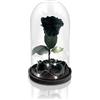 Aluisi Fiori - Rosa La Bella e La Bestia Nera - Base in Legno Nero con LED - Rosa Stabilizzata Simbolo di mistero e raffinatezza. Ideale Come Regalo Elegante e Originale per Ambienti di Lusso.