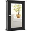 COSTWAY Armadio a Specchio da Bagno a 2 Ripiani 34 x 15 x 51cm, Armadietto Mobiletto per Bagno da Muro, Mensola Regolabile (Nero)