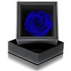 Aluisi Fiori Rosa Stabilizzata Blu in Cofanetto Nero - Rosa Stabilizzata Vera - Rosa Eterna - Fiore Stabilizzato - Fiori Stabilizzati - Simbolo di Amicizia e Legame - Idea Regalo
