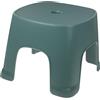 HEALLILY Sgabello da bagno in plastica antiscivolo, per uso WC, design compatto e leggero, per bagno e casa, piccolo, verde