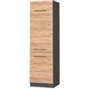 Vicco Armadio frigorifero Fame-Line, Rovere dorato, 60 cm, per la combinazione con altri moduli della serie Fame-Line