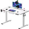 SANODESK QS1 - Scrivania seduta in piedi elettrica, 110 x 54 cm, con vassoio completo, scrivania da gioco, scrivania regolabile in altezza, con sistema anti-collaudo, funzione memoria 4 altezze