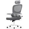 naspaluro Sedia Ufficio Ergonomica, Sedia Scrivania Con Supporto Lombare a Forma Di C, Schienale E Poggiatesta Regolabili, Braccioli Reversibili,Sedile in Rete Traspirante per L'ufficio,Grigio Scuro