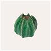 Keyhomestore | Vasetto Decorativo a Forma di Cactus in Ceramica
