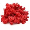 DIMOSA Muschio Stabilizzato, Muschio Decorativo | 13 Colori | 250 g / 500 g / 1000 g, Muschio di Renna stabilizzato per Decorazioni, Decorazioni o Modellismo (Rosso, 500g)