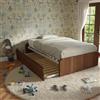 MOBILFINO CAMERETTE Letto 1 Piazza e Mezza con Letto Estraibile - Testate Basse, Noce Canaletto