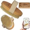 IVESME Spazzola Corpo a Secco Setole Naturali e GUIDA al Dry Brushing Corpo - Spazzola cellulite - Spazzola a Secco Corpo Esfoliante per una Pelle subito Liscia e Tonica Stimola la Circolazione