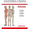 Edi. Ermes Anatomia umana. Atlante