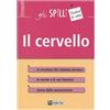 ALPHA TEST Il cervello