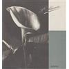 Alinari IDEA Fratelli Alinari. Firenze 1852-2000. 150 anni di storia della fotografia. Ediz. illustrata