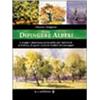 Il Castello Come dipingere alberi