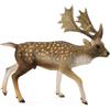 Collecta - Europeo Cervo Figura Maschile (88.685)
