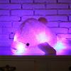 Zinsale 7 cambi di colore LED Lighten Giocattolo farcito con i delfini Cuscino peluche Luce notturna (Rosa, 30cm)