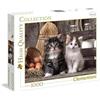 Clementoni Puzzle da 1000 Pezzi - HQ Collection: Lovely Kittens