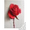 VFKLZCNYR Rose Puzzle 1000 Pezzi, Puzzle Da 1000 Pezzi Per Adulti, Jigsaw Puzzle 1000 Pezzi, Puzzle Adulti Puzzle Bambini Puzzles Classici 1000pcs (75x50cm)