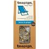Teapigs Lemon and Ginger Tea 37.5 g (Pack of 1, Total 15 Tea Bags)