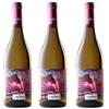 Generico Lagilum - Vini del Lazio IGT - Migliori vini prodotti nel Lazio - (3, Sauvignon Lazio Igt)
