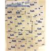 singlesource 100 bustine singole di sale