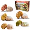 BRICIOLIAMO...[ 1 Kg. ] Paste di Mandorla Artigianali Fresche - MANDORLA 10% - SCONTI QUANTITÀ - 5 GUSTI DISPONIBILI/BOX MISTO - Dolci Tipici Siciliani - Prodotte in Sicilia .