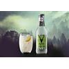 Plose Selected Natural Ginger Beer 200 ml x 6 - Plose