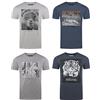 riverso RIVFritz - Maglietta da uomo, con stampa fotografica, girocollo, a maniche corte, in cotone, stampa animale, blu, bianco, grigio, verde, S, M, L, XL, XXL, 3XL, 4XL, 5XL, Mix di colori 3, XL