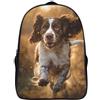 ZHUICHENG English Springer Spaniel Zaino Scuola Elementare Bimbo 3D, Zainetto Asilo Bambino E Astuccio Scuola Elementare Bambino E Bambina Zaino Scuola Da Pacchetto Di Zaino Scuola 40x28x16cm