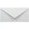 Netuno 1000 buste da lettera colorate lunghe buste grigio carta colorata formato DL 110 x 220 mm Rainbow 80g buste americane con lembo a punta