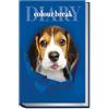 colorosa Diario 12 mesi per la scuola - Agenda dimensioni 14,2x20 cm, copertina morbida - Colour Break (Cane - Beagle)