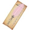 Gullor - Penna calligrafia con penna a forma di piuma e 5 pennini per calligrafia per principianti e bambini, set di penne a forma di penna a sfera, rosa