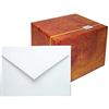 Aurora Store.it BIGLIETTI DA VISITA BIANCHI 7x11 cm 100 PZ BUSTE E CARTONCINO