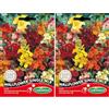 Germisem Wallflower Single Mix Semi 0.75 g (Confezione da 2)