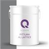 Q-COVER Vernice al lattice 10L grigio scuro - Pittura opaca per interni per pareti e soffitti, Classe 3, Alta copertura, Resistente allo sfregamento