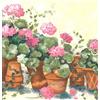 Dundee Deco BD6196 - Carta da parati preincollata, motivo floreale, rosa, marrone, verde, blu terra cotta con bordi in vaso, motivo retrò, 4,57 x 25,4 cm
