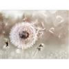 murando Carta da parati Floreale Soffione 200x140 cm Fotomurali in TNT Murale alla moda Decorazione da Muro XXL Poster Gigante Design Cameretta Carta per pareti Fiori Natura Astratto b-C-0960-a-a