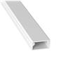 Generico 10 PEZZI CANALINA PASSACAVI CON BIADESIVO IN PVC DI COLORE BIANCO LUNGHEZZA 2 METRI VARIE DIMENSIONI (20X10MM)