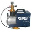 Aohuada Compressore d'aria elettrico ad alta pressione PCP pompa ad aria compressa compressore d'aria 220V 300BAR 30MPA 4500 PSI per automobile Immersione Bottiglia industriale