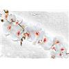 Runa Art Carta da parati fotografica Fiori di orchidea muro di pietra Moderno Vello Soggiorno Camera Da Letto Sala - Made in Germany - Bianco rosso 9323010c
