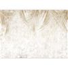 murando Carta da parati Foglie di Palma 200x140 cm Fotomurali in TNT Murale alla moda Decorazione da Muro XXL Poster Gigante Design Carta per pareti Natura Aspetto concreto Botanico b-A-10322-a-a