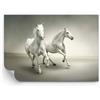 ARTTOR Carta da parati Vinile in TNT Premium Canvas - Animali arabo cavallo fattoria - 100x70 cm - Fotomurali Decorazione Murale Moderna Poster gigante XXL Camera da letto - WF3AA100x70-2387