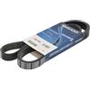 DAYCO 6PK1706S Cinghia Poly-V Fiat DOBLO'+Cargo V.V.