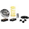 Generic 5119760 VARIATORE MULTIVAR MALOSSI PIAGGIO MEDLEY 125-150 IE 4T LC EURO 4/5 APRILIA SR GT 200 / SPORT (2022-2023) VESPA GTS Super 125 150