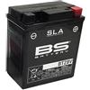 BS Battery 321284 - Batteria SLA BTZ8V (FA)